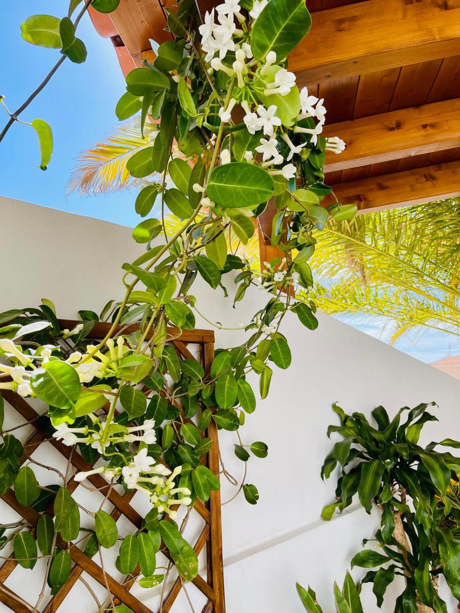 Villa Panoramic Del Atlantico Costa Adeje  Ngoại thất bức ảnh